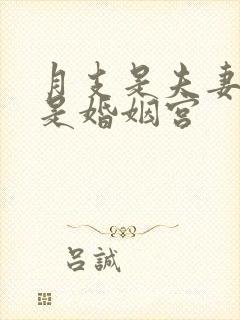 月支是夫妻宫还是婚姻宫