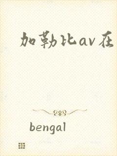 加勒比av在线封面