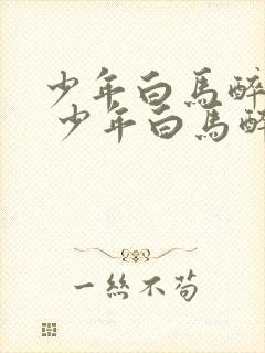 少年白马醉春风 少年白马醉春风封面