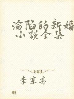 沦陷的新婚少妇 小说全集