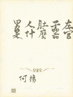 男人肚子左边疼是什么器官