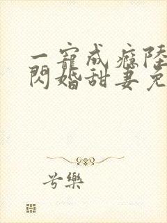 一宠成瘾陆少的闪婚甜妻免费阅读封面