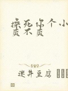 操死你个小骚货爽不爽