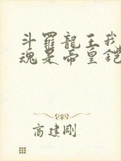 斗罗龙王我的武魂是帝皇铠甲免费阅读