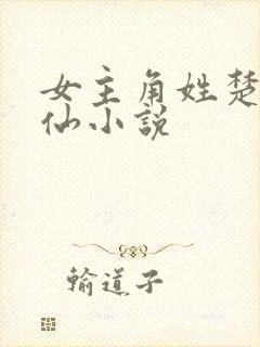 女主角姓楚的修仙小说