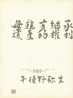 母亲有继承儿子遗产的权利吗