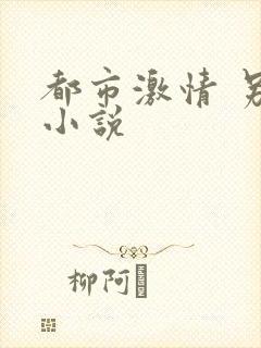 都市激情 另类小说