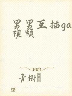 男男互插gay视频