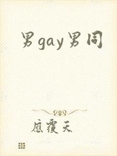 男gay男同