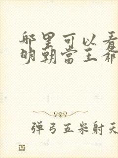 哪里可以看回到明朝当王爷小说完整版