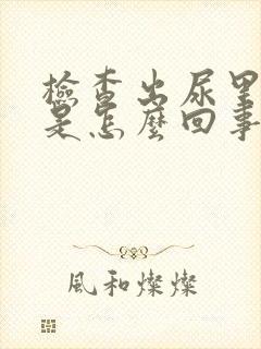 检查出尿里有血是怎么回事封面