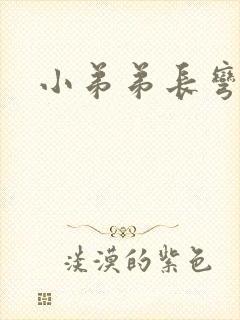 小弟弟长弯了封面