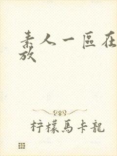 素人一区在线播放封面