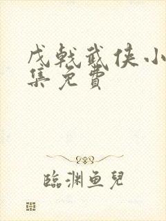 戊戟武侠小说全集免费封面