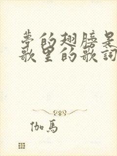 梦的翅膀是哪首歌里的歌词