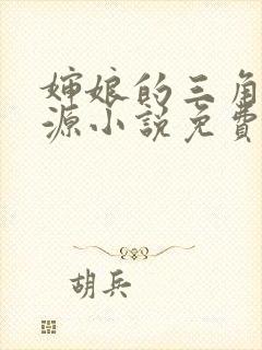 婶娘的三角桃花源小说免费阅读小说封面