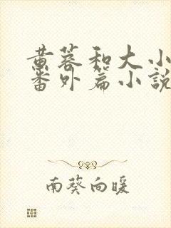 黄蓉和大小武的番外篇小说