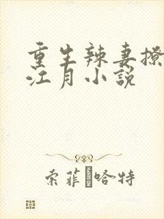 重生辣妻撩夫忙江月小说