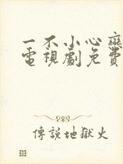 一不小心恋爱了电视剧免费观看完整版封面