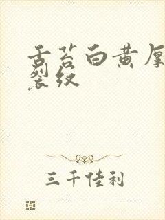 舌苔白黄厚腻有裂纹