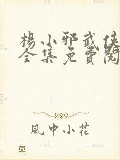 杨小邪武侠小说全集免费阅读