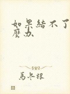 如果结不了婚怎么办封面