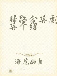 归路分集剧情分集介绍封面