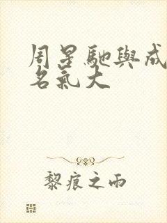 周星驰与成龙谁名气大