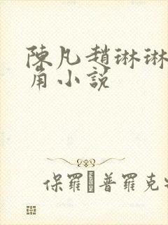 陈凡赵琳琳的主角小说