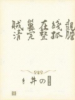 贼巢在线观看高清完整孤胆英雄国语