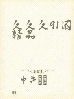 久久久91国产精品封面