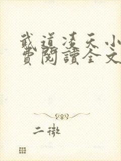 武道凌天小说免费阅读全文