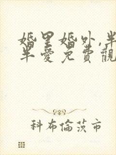 婚里婚外,半欢半爱免费观看