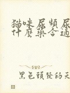 猫咪尿频尿少吃什么药合适