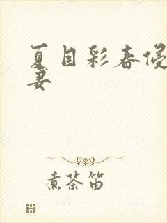 夏目彩春侵犯人妻