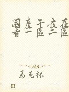 国产午夜在线观看一区二区