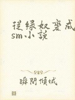 从绿奴变成阉奴sm小说