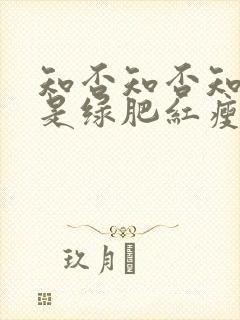 知否知否知否应是绿肥红瘦哪个季节封面