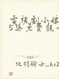 电视剧小娘惹45集免费观看大结局