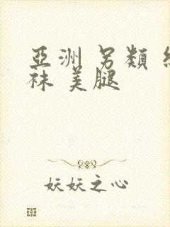 亚洲 另类 丝袜 美腿