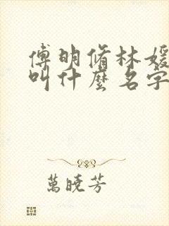 傅明修林媛小说叫什么名字