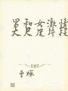 男和女激情做爰大尺度片段