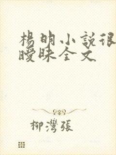 杨明小说很纯很暧昧全文