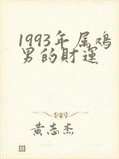 1993年属鸡男的财运