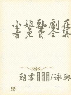 小姐韩剧在线观看免费全集电视剧高清