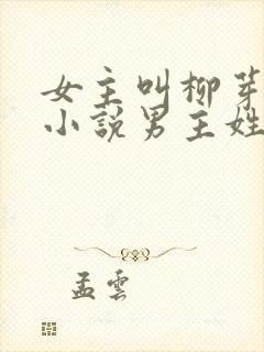 女主叫柳芽儿的小说男主姓萧