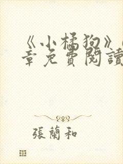 《小橘狗》68章免费阅读全文封面