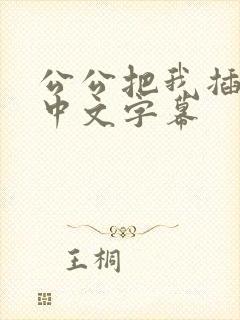 公公把我插视频中文字幕封面