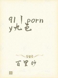 91丨porny九色