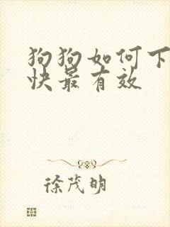 狗狗如何下奶最快最有效